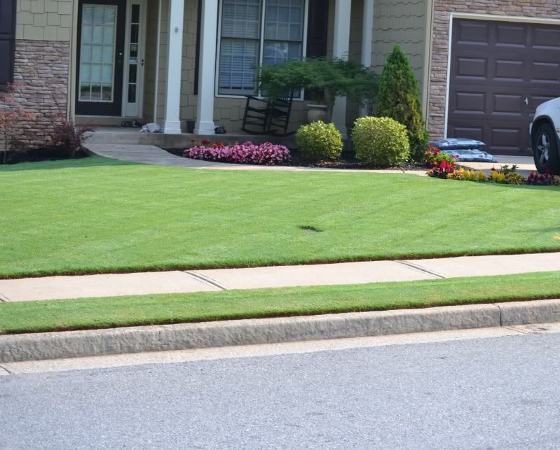 Home Bermuda Lawn Whats next...top dressing? Reel Mower? Lawn Care